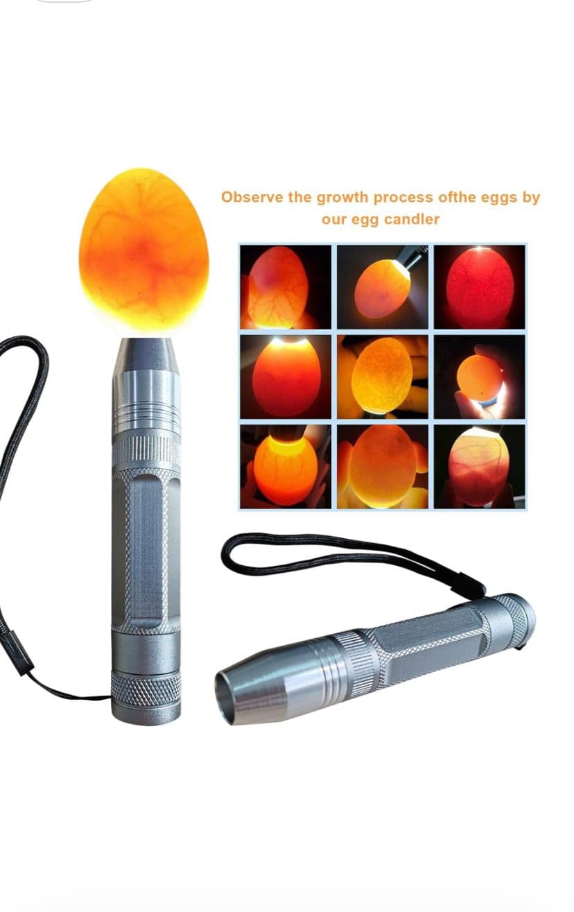 Powerful Professional LED Egg Candler Light