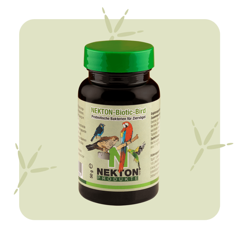 Nekton Biotic Bird